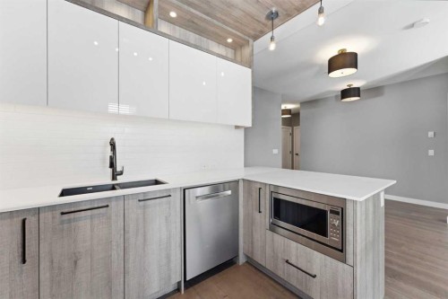 209-2702 17 Avenue Sw, Calgary, AB - Indoor Photo Showing Kitchen With Double Sink With Upgraded Kitchen