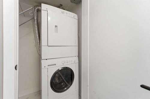 209-2702 17 Avenue Sw, Calgary, AB - Indoor Photo Showing Laundry Room