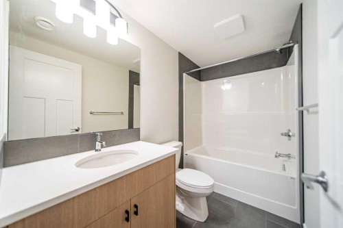 19 Herron Walk Ne, Calgary, AB - Indoor Photo Showing Bathroom