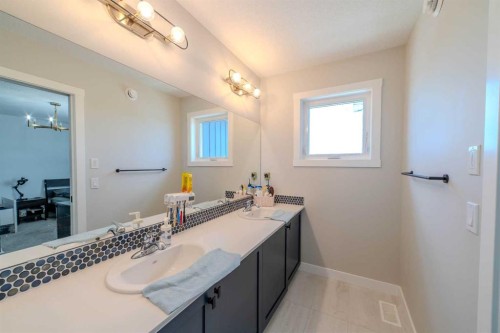 643 Cornerstone Drive Ne, Calgary, AB - Indoor Photo Showing Bathroom