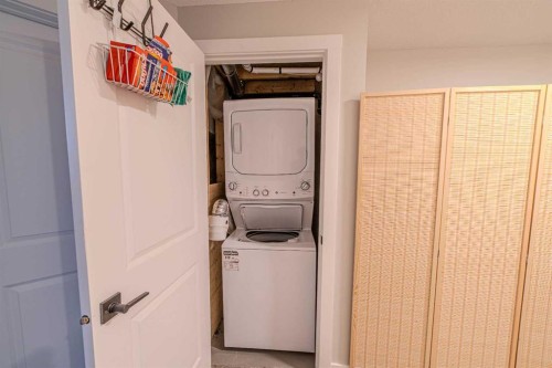 643 Cornerstone Drive Ne, Calgary, AB - Indoor Photo Showing Laundry Room