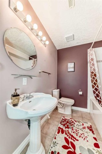 146 Scenic View Close Nw, Calgary, AB - Indoor Photo Showing Bathroom