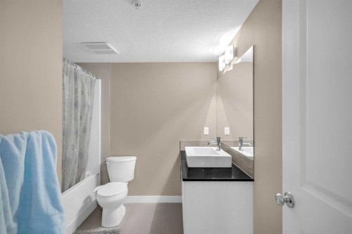 4107-240 Skyview Ranch Road Ne, Calgary, AB - Indoor Photo Showing Bathroom