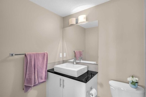 4107-240 Skyview Ranch Road Ne, Calgary, AB - Indoor Photo Showing Bathroom