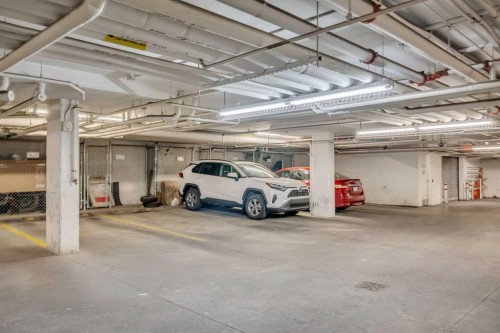 4107-240 Skyview Ranch Road Ne, Calgary, AB - Indoor Photo Showing Garage