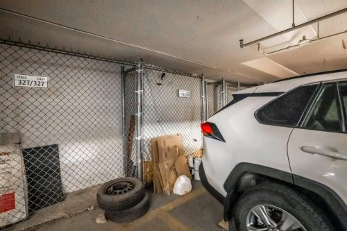 4107-240 Skyview Ranch Road Ne, Calgary, AB - Indoor Photo Showing Garage