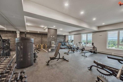 424-3932 University Avenue Nw, Calgary, AB - Indoor Photo Showing Gym Room