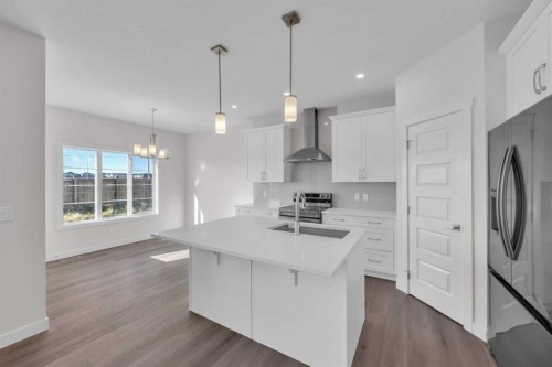 139 Homestead Common Ne, Calgary, AB - Indoor Photo Showing Kitchen With Upgraded Kitchen