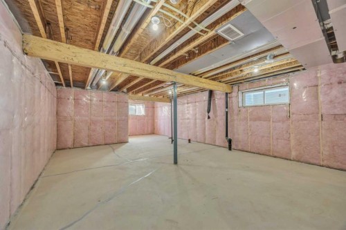 139 Homestead Common Ne, Calgary, AB - Indoor Photo Showing Basement