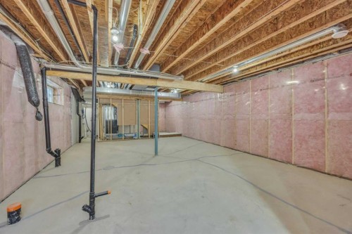 139 Homestead Common Ne, Calgary, AB - Indoor Photo Showing Basement