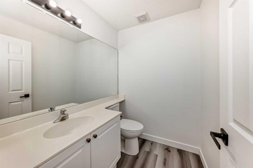 289 Canals Circle Sw, Airdrie, AB - Indoor Photo Showing Bathroom