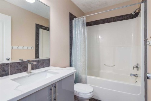 756 Luxstone Landing Sw, Airdrie, AB - Indoor Photo Showing Bathroom