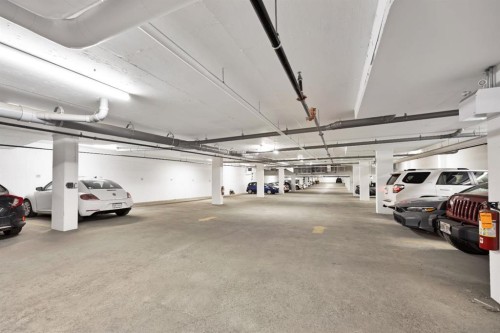 401-370 Dieppe Drive Sw, Calgary, AB - Indoor Photo Showing Garage