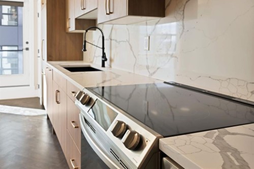 401-370 Dieppe Drive Sw, Calgary, AB - Indoor Photo Showing Kitchen