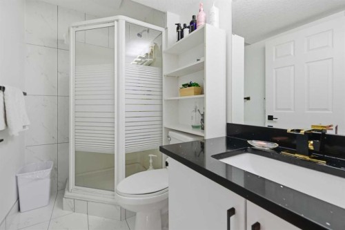 53 Martha'S Place Ne, Calgary, AB - Indoor Photo Showing Bathroom