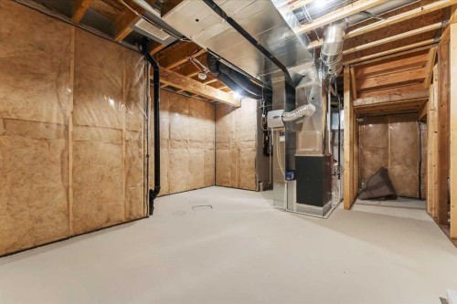 50 Setonstone Manor Se, Calgary, AB - Indoor Photo Showing Basement