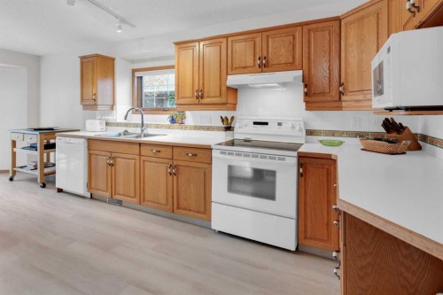 50 Christie Gardens Sw, Calgary, AB - Indoor Photo Showing Kitchen With Double Sink