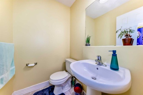 187 Bridlewood View Sw, Calgary, AB - Indoor Photo Showing Bathroom