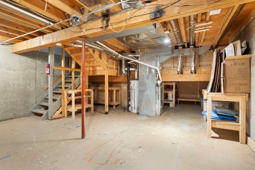 49-11407 Braniff Road Sw, Calgary, AB - Indoor Photo Showing Basement