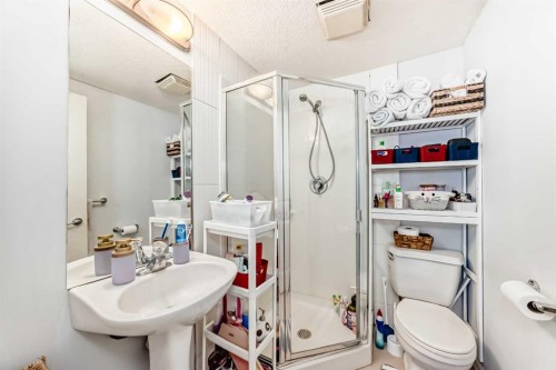 7716 Bowness Road Nw, Calgary, AB - Indoor Photo Showing Bathroom