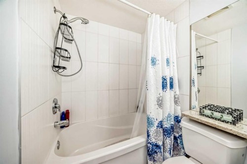 7716 Bowness Road Nw, Calgary, AB - Indoor Photo Showing Bathroom