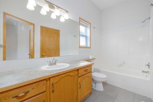 6013 Saddlehorn Drive Ne, Calgary, AB - Indoor Photo Showing Bathroom