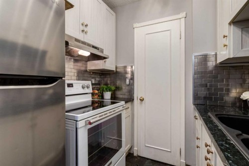205-120 15 Avenue Sw, Calgary, AB - Indoor Photo Showing Kitchen