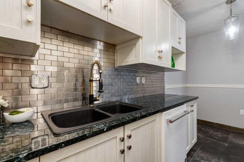205-120 15 Avenue Sw, Calgary, AB - Indoor Photo Showing Kitchen With Double Sink