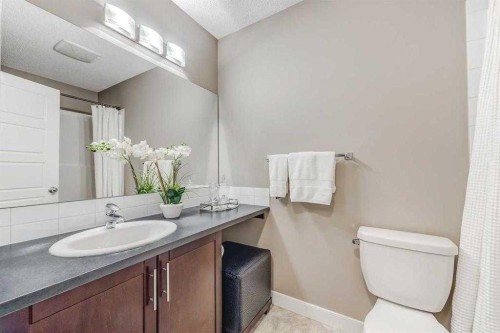 136 Pantego Lane Nw, Calgary, AB - Indoor Photo Showing Bathroom