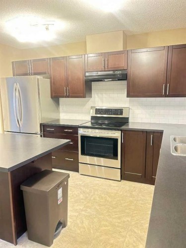 136 Pantego Lane Nw, Calgary, AB - Indoor Photo Showing Kitchen With Double Sink