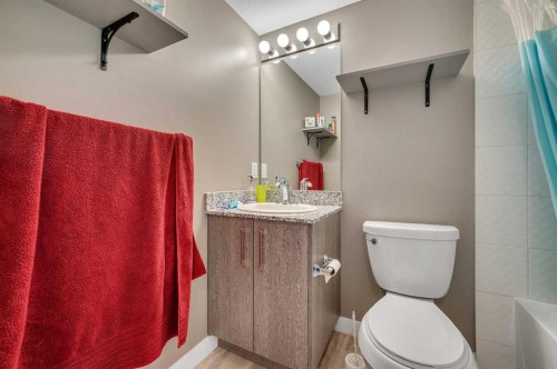 4206-4641 128 Avenue Ne, Calgary, AB - Indoor Photo Showing Bathroom