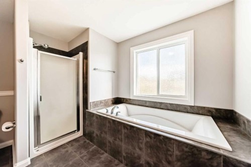 8 Lakewood Circle, Strathmore, AB - Indoor Photo Showing Bathroom