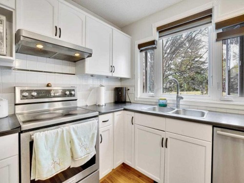 151 Citadel Park Nw, Calgary, AB - Indoor Photo Showing Kitchen With Double Sink