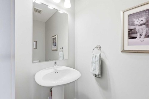 146 Red Embers Gate Ne, Calgary, AB - Indoor Photo Showing Bathroom