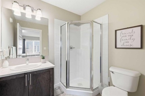 146 Red Embers Gate Ne, Calgary, AB - Indoor Photo Showing Bathroom