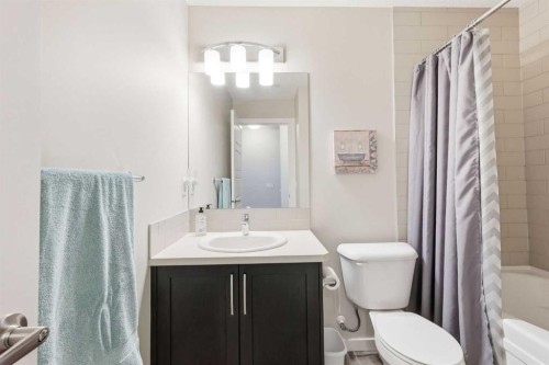146 Red Embers Gate Ne, Calgary, AB - Indoor Photo Showing Bathroom