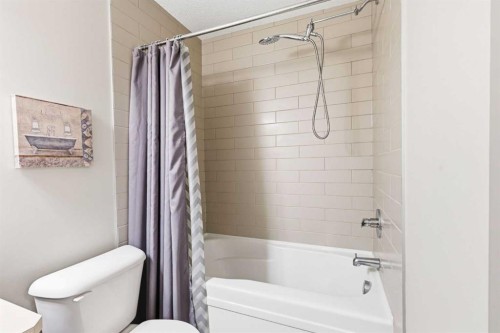 146 Red Embers Gate Ne, Calgary, AB - Indoor Photo Showing Bathroom