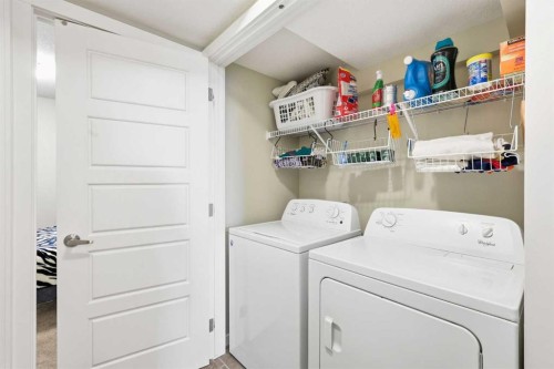 146 Red Embers Gate Ne, Calgary, AB - Indoor Photo Showing Laundry Room