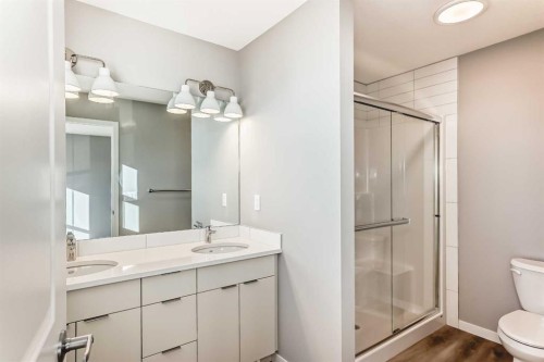 1054 Sawgrass Link Nw, Airdrie, AB - Indoor Photo Showing Bathroom