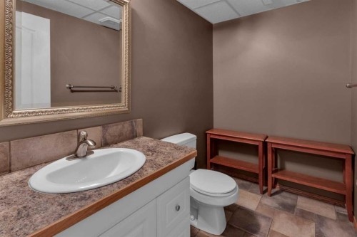 202 Citadel Circle Nw, Calgary, AB - Indoor Photo Showing Bathroom