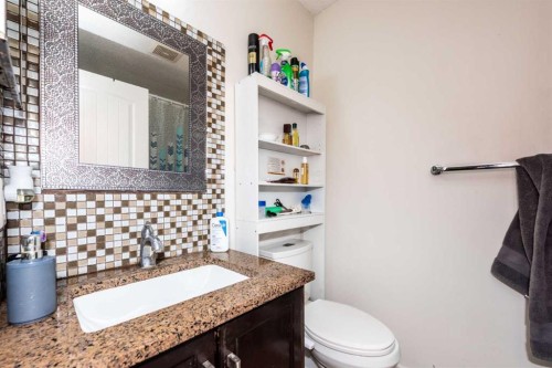 70 Martindale Boulevard Ne, Calgary, AB - Indoor Photo Showing Bathroom