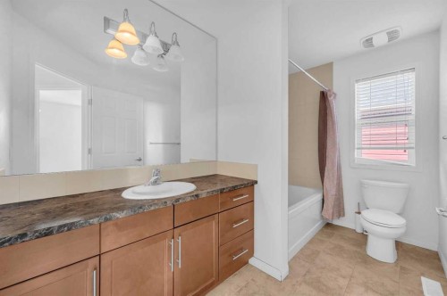 41 Cityscape Avenue Ne, Calgary, AB - Indoor Photo Showing Bathroom