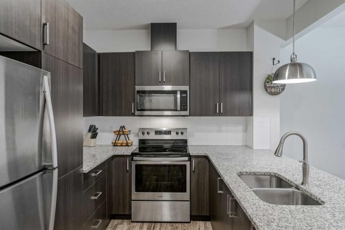 92 Walden Lane Se, Calgary, AB - Indoor Photo Showing Kitchen With Stainless Steel Kitchen With Double Sink With Upgraded Kitchen