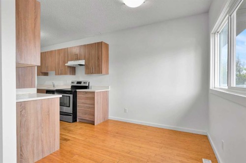 10831 5 Street Sw, Calgary, AB - Indoor Photo Showing Kitchen