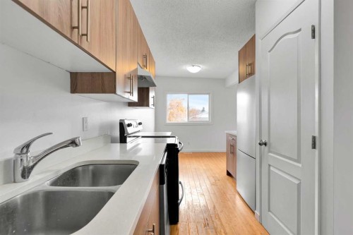 10831 5 Street Sw, Calgary, AB - Indoor Photo Showing Kitchen With Double Sink