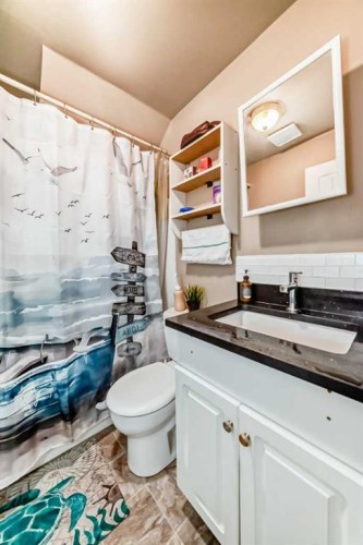 363 Templeside Circle Ne, Calgary, AB - Indoor Photo Showing Bathroom