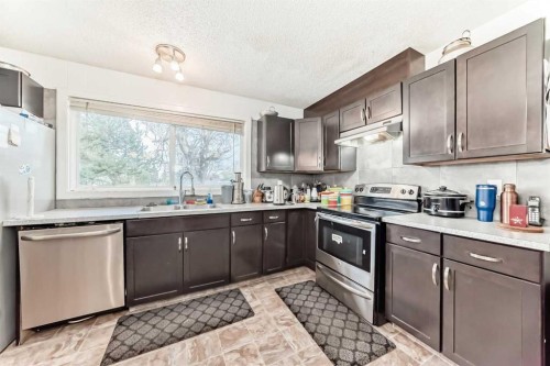363 Templeside Circle Ne, Calgary, AB - Indoor Photo Showing Kitchen With Double Sink