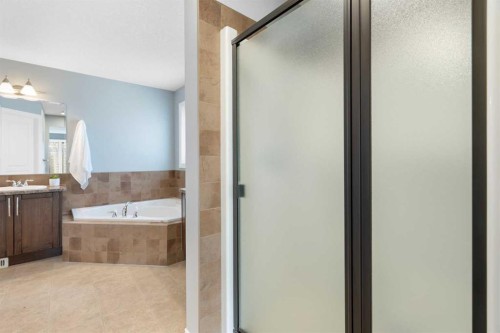 248 Ranch Close, Strathmore, AB - Indoor Photo Showing Bathroom