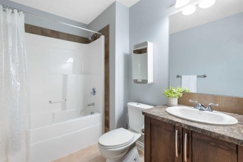 248 Ranch Close, Strathmore, AB - Indoor Photo Showing Bathroom