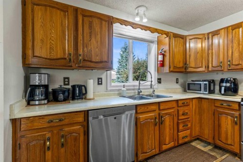 1018 10 Avenue Se, High River, AB - Indoor Photo Showing Kitchen With Double Sink